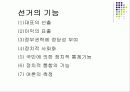 [정치학] 선거 3페이지