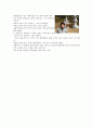 화엄사[華嚴寺]답사 조사  24페이지