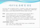 아르누보건축양식 17페이지