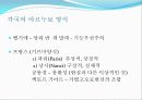 아르누보건축양식 23페이지