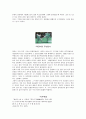 민족의 정기-택견아리랑 3페이지