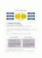 우리나라의 주택문제와 개선방안 17페이지