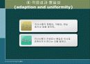 의사소통과 의사결정 (사회복지실천론) 14페이지