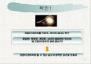 사업계획서(카페 캣츠 앤 독스)(애완동물 멀티 쇼핑몰) 5페이지
