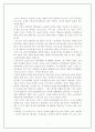 미국의 범죄와 형벌 감상문 5페이지