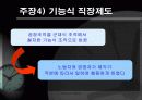 프레드릭 테일러 _ 과학적 관리 이론 11페이지