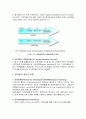 마케팅의 의미 4페이지