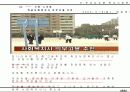 학교사회복지 21페이지