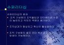 리더십에대한 새로운 이론을 파워포인트로 정리 (발표시 유용) 10페이지