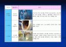RFID기술 및 시장동향 10페이지
