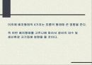 체계적 배치계획 13페이지