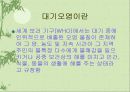 환경오염에 대한 고찰.. 3페이지