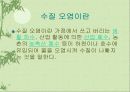 환경오염에 대한 고찰.. 5페이지