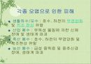 환경오염에 대한 고찰.. 10페이지