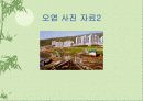환경오염에 대한 고찰.. 15페이지