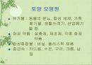 환경오염에 대한 고찰.. 17페이지