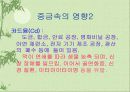환경오염에 대한 고찰.. 19페이지