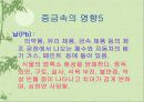 환경오염에 대한 고찰.. 22페이지