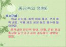 환경오염에 대한 고찰.. 23페이지