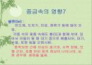 환경오염에 대한 고찰.. 24페이지