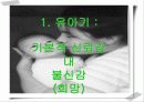 에릭슨의 심리 사회학적 성격이론 분석 및 평가와 비판점, 프로이드 이론과의 차이점 7페이지