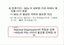 필립스 마츠시타 글로벌 전략 연구 비교 14페이지
