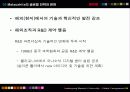 필립스 마츠시타 글로벌 전략 연구 비교 51페이지