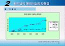 중국 베트남 해외직접투자 28페이지