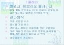 법정 전염병에 대해 6페이지