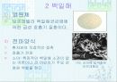 법정 전염병에 대해 37페이지