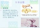 법정 전염병에 대해 49페이지