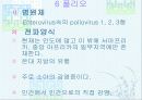 법정 전염병에 대해 54페이지