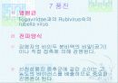 법정 전염병에 대해 57페이지