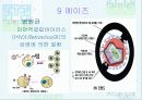 법정 전염병에 대해 89페이지