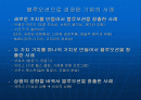 블루오션 전략으로 성공한 기업의 예 2페이지