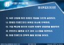 한국기업의 미래 55페이지