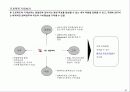 효과적인 경영 전략 37페이지