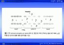 자성 나노입자의 생체재료의 응용 43페이지
