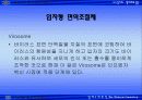 자성 나노입자의 생체재료의 응용 46페이지