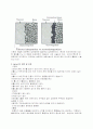 덴탈 임플란트(Dental Implant) 3페이지