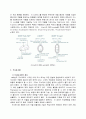 생체재료 DDS 3페이지