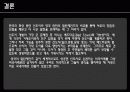 동탄신도시 vs 밀턴케인즈 25페이지