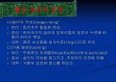 활성슬러지공정의 특징및 장단점 10페이지
