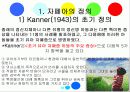 자폐아 파워포인트 4페이지