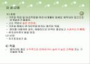 시스템화거푸집 13페이지