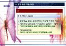 RFID 개념 및 특징, 산업별 활용 사례 16페이지
