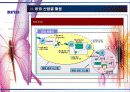 RFID 개념 및 특징, 산업별 활용 사례 37페이지