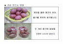 달걀의 성질을 이용한 조리과학 (초란,피단) 15페이지