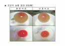 달걀의 성질을 이용한 조리과학 (초란,피단) 20페이지