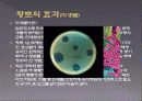 황토주택 8페이지